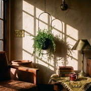 FloraFrame Hanging Planter in a lived-in interior